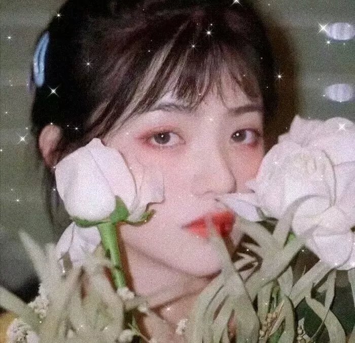 青涩吸血鬼的烦恼
